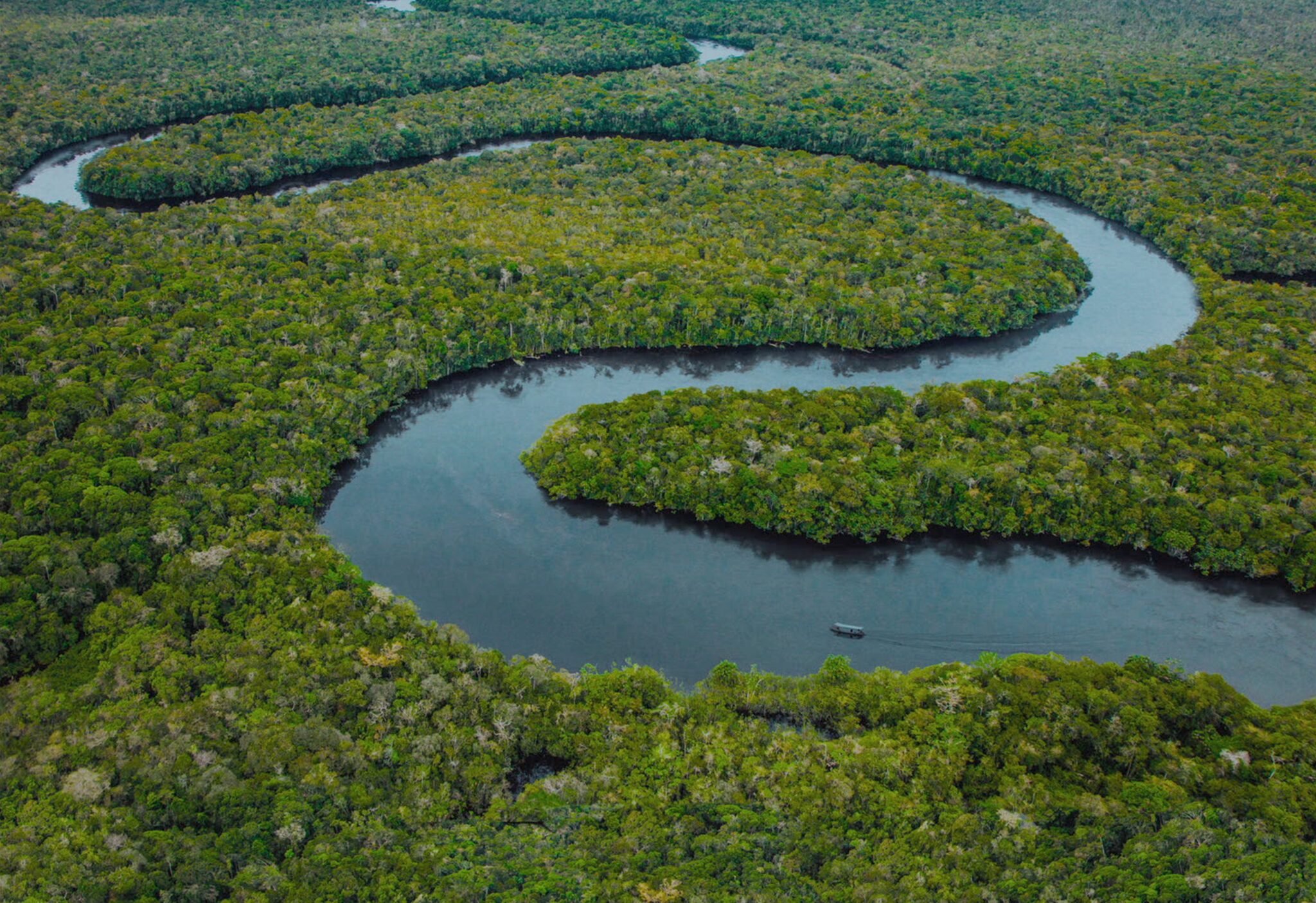 06_DasTiefsteBlau_c_Guillermo_Garza_Desvia_Alamode+Film